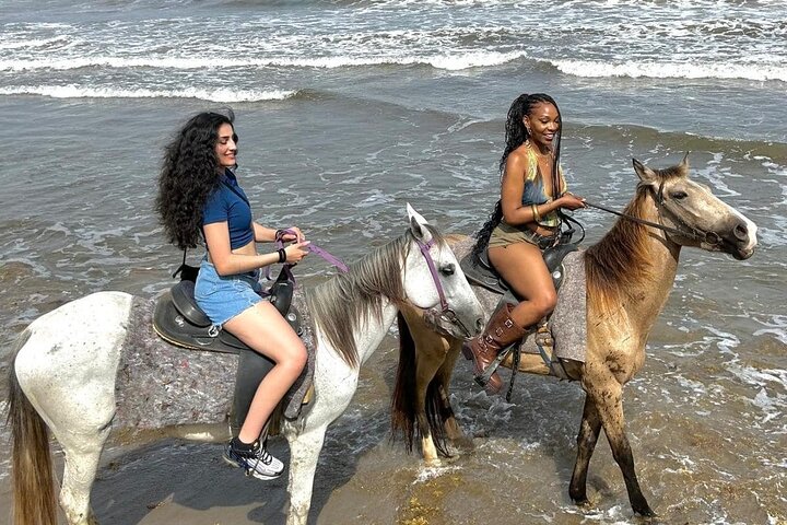 Nature & Historical Horseback Riding Tours St. Lucia