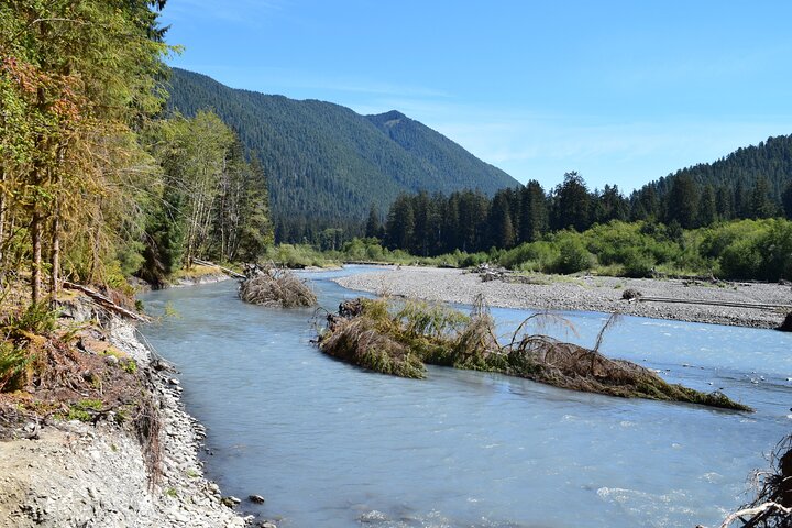 Hoh Rain Forest and Rialto Beach Guided Tour in Olympic National Park