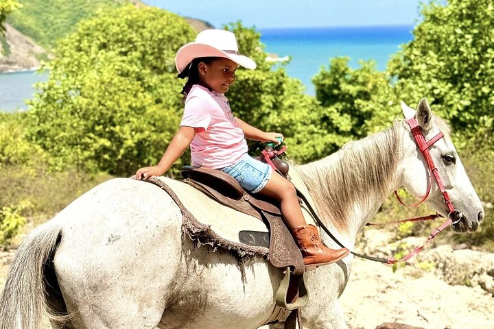 East Coast Horseback Riding & Waterfall Excursion