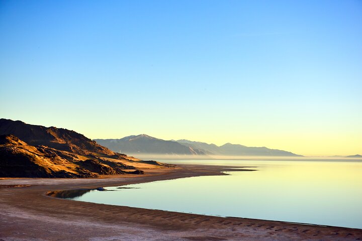 Antelope Island Wildlife Expedition Great Salt Lake Adventure