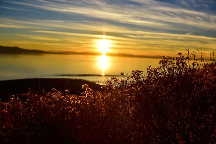 Antelope Island Sunset Wildlife Expedition Great Salt Lake Tour