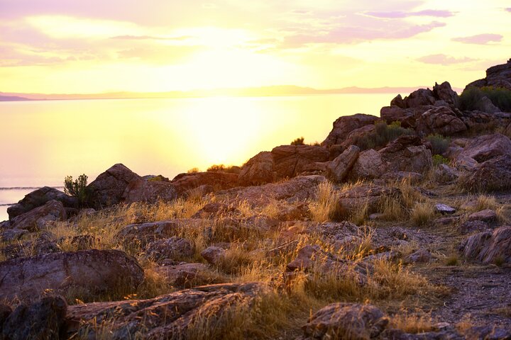 Antelope Island Sunset Wildlife Expedition Great Salt Lake Tour