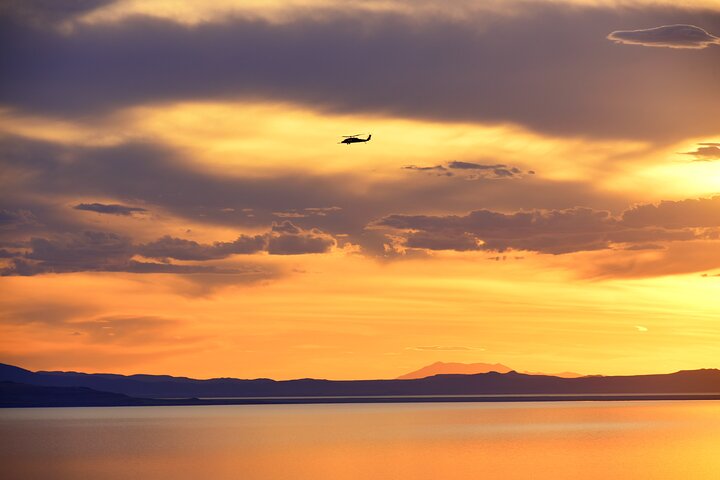 Antelope Island Sunset Wildlife Expedition Great Salt Lake Tour