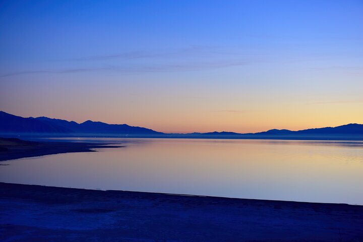 Antelope Island Sunset Wildlife Expedition Great Salt Lake Tour