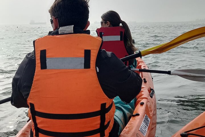 Half Day Kayaking Adventure in Walvis Bay