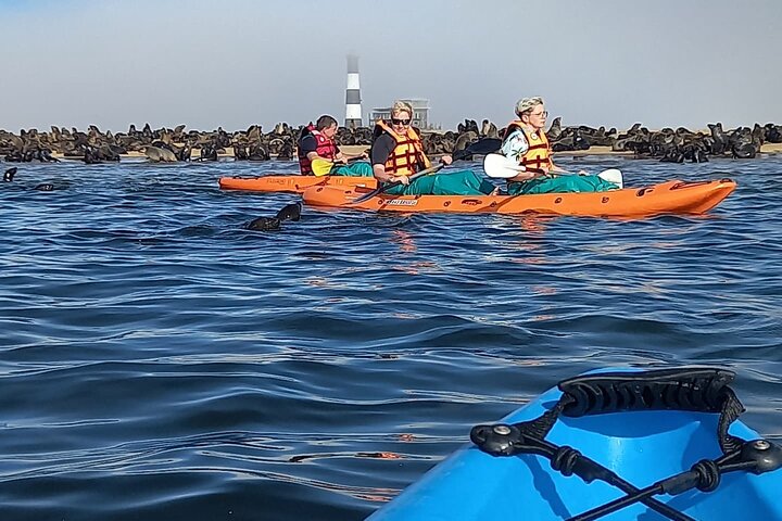Half Day Kayaking Adventure in Walvis Bay