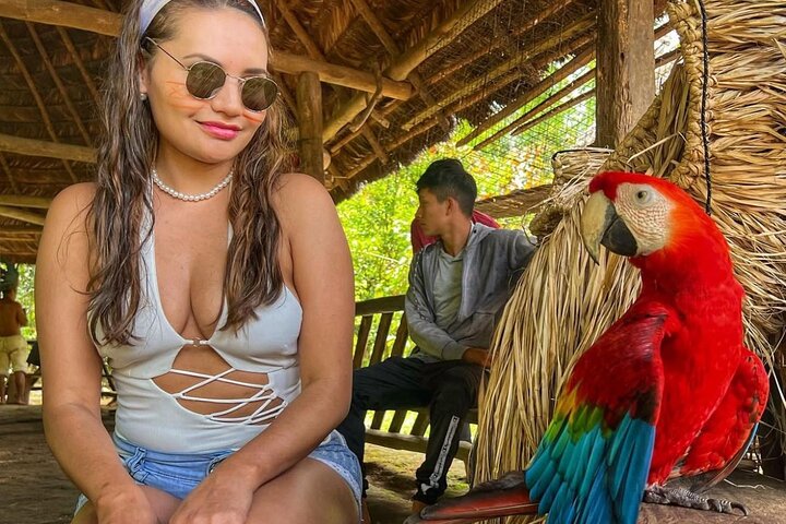Tour to the Amazon for one day