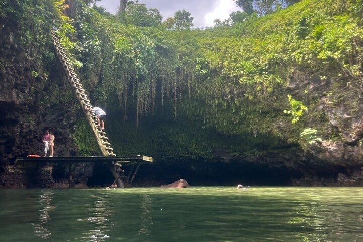 Full-Day Upolu Island Highlights Tour from Apia
