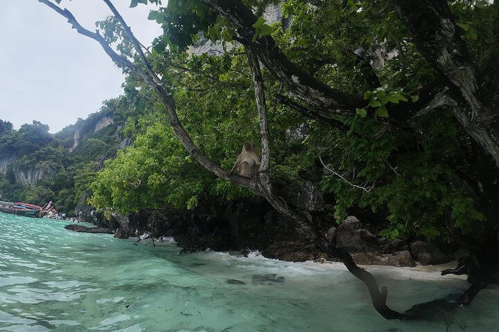 Best of Phi Phi Island Adventure Day Tour with Lunch from Phuket
