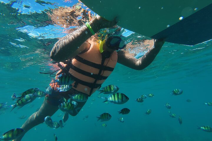 Best of Phi Phi Island Adventure Day Tour with Lunch from Phuket