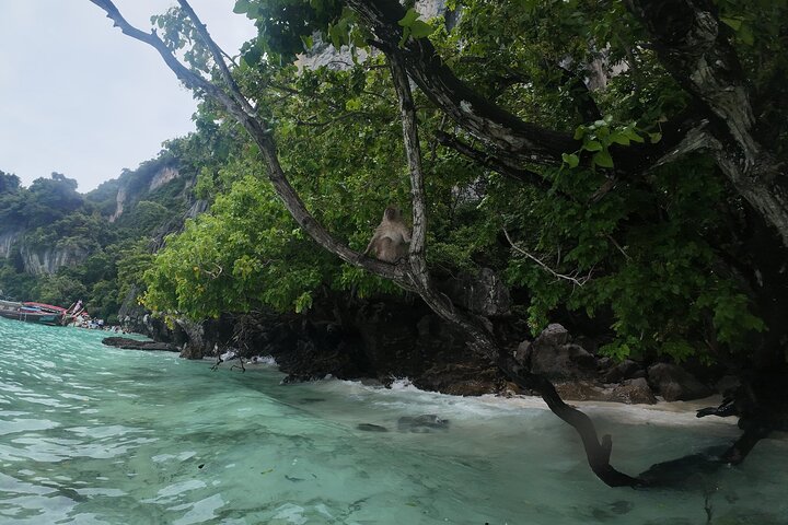 Phi Phi Island Adventure Day Tour from Phuket Speedboat/Catamaran