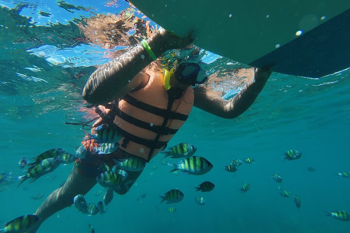 Phi Phi Islands Premium Speedboat Adventure Day Tour from Phuket