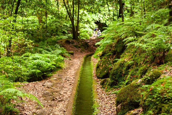 Levada do Rei PR18 Scenic Hike in Madeira - Transfer Service