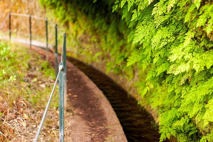 Levada do Rei PR18 Scenic Hike in Madeira - Transfer Service