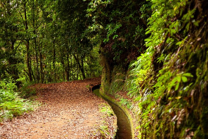 Levada do Rei PR18 Scenic Hike in Madeira - Transfer Service