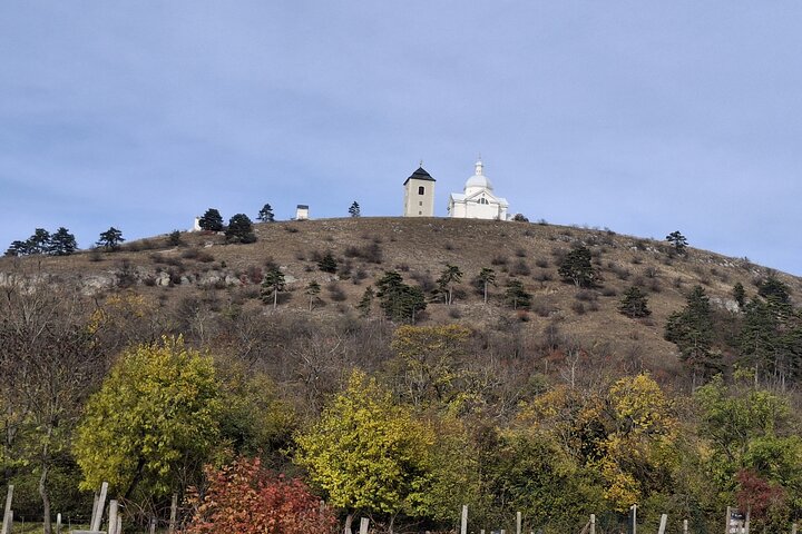 Wine Culture and UNESCO Gems Lednice Valtice Area and Mikulov