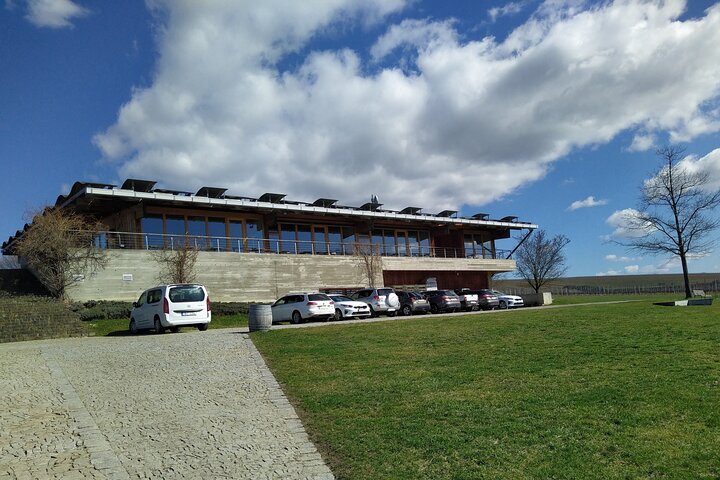 Wine Culture and UNESCO Gems Lednice Valtice Area and Mikulov