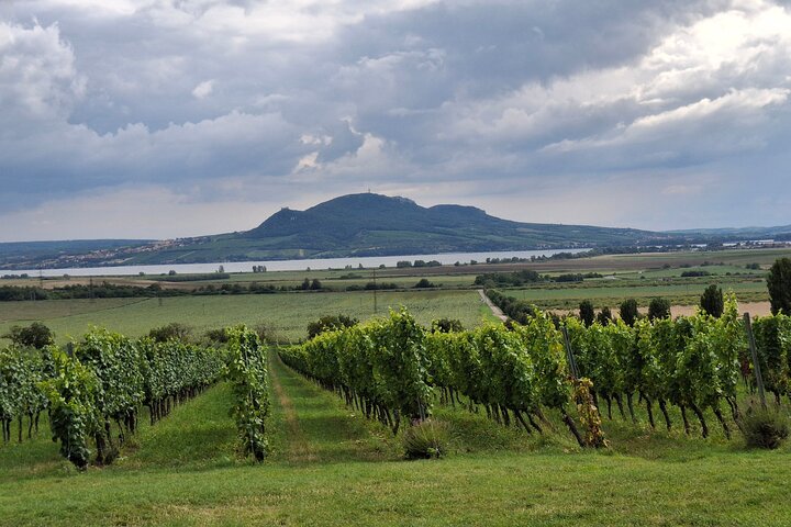 Wine Culture and UNESCO Gems Lednice Valtice Area and Mikulov