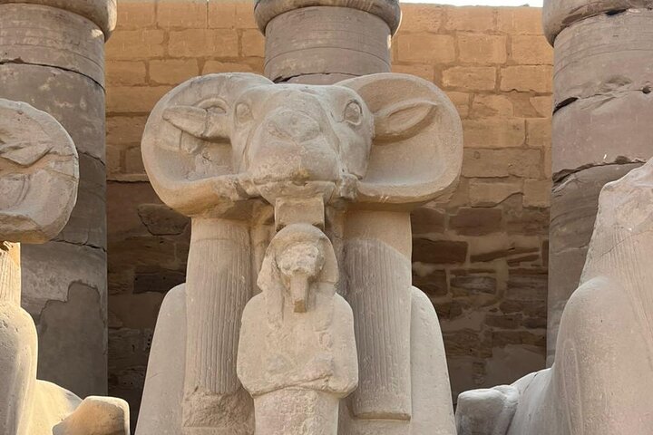 Private Day Trip to Luxor from Marsa Alam and Valley of the Kings
