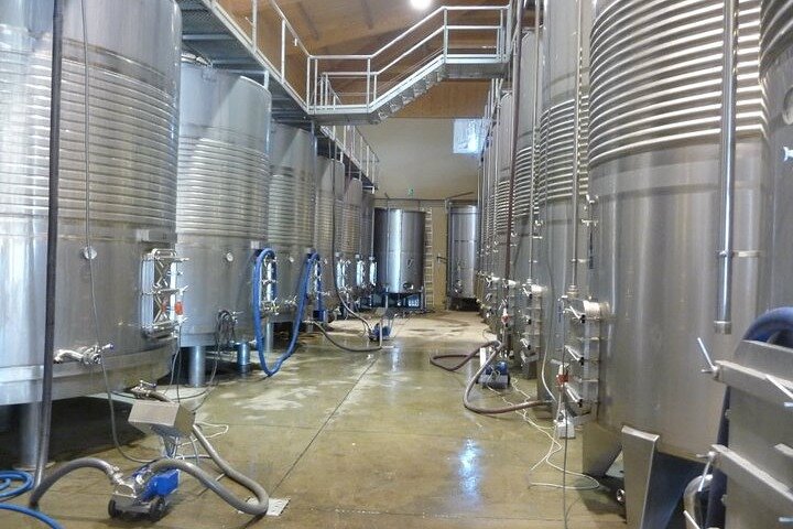 Aranda del Duero: Single Vineyard Estate Visit & Wine Tasting
