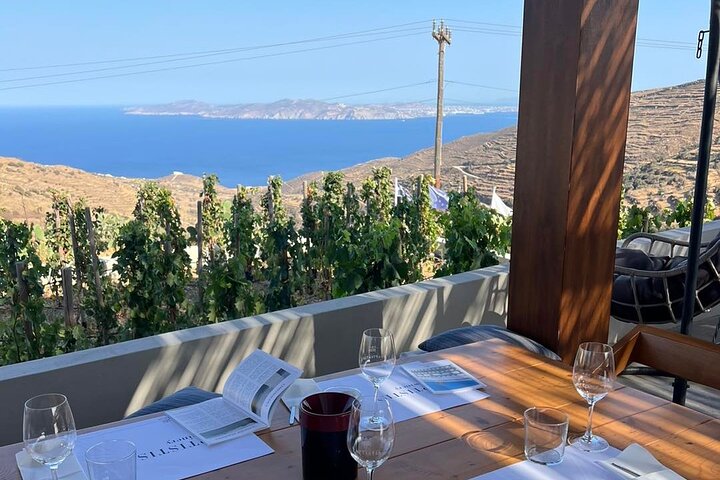 Wine Tasting in Tinos: Sea-View Terrace Tour & Sommelier Guide