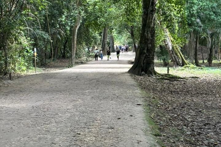Full Day Tikal Sunrise Tour from Flores and Archaeological Tour