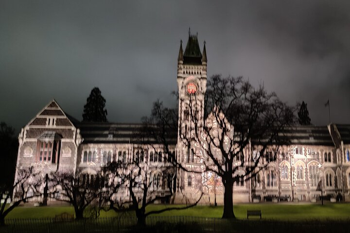 Heritage City and Larnach Castle Van tour with Historian Guide
