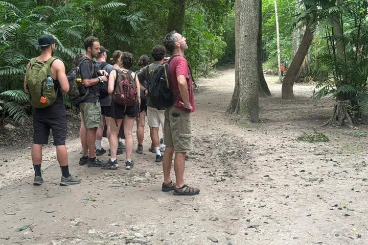 Basic Tour to Tikal Includes Transportation and Guide Service