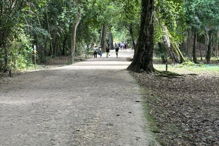 Basic Tour to Tikal Includes Transportation and Guide Service