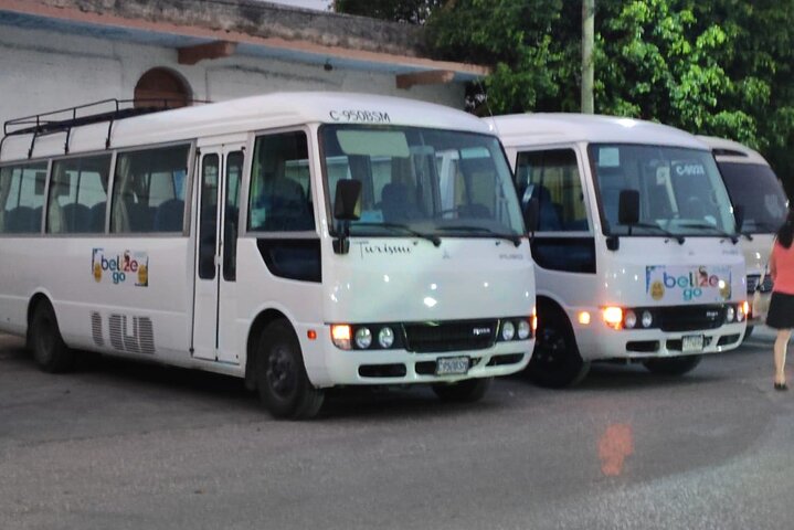 Basic Tour to Tikal Includes Transportation and Guide Service