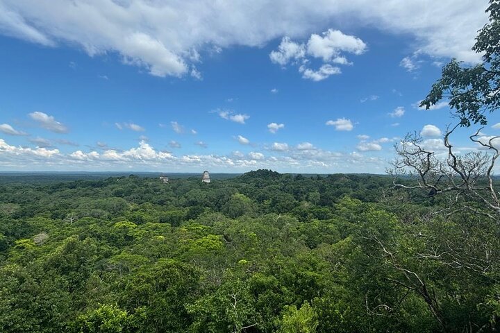 Basic Tour to Tikal Includes Transportation and Guide Service