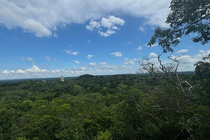 Basic Tour to Tikal Includes Transportation and Guide Service