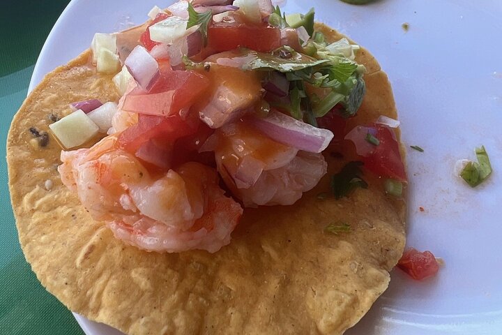 Nayarit Taco Fiesta VIP Private Tour with Tacos and Tequila