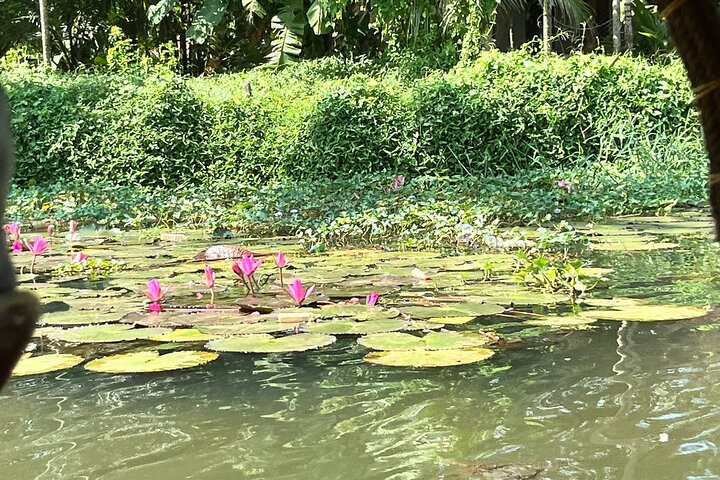 Full Day Backwater Village Punting Boat Cruise