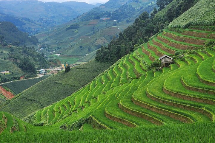 3 Days Trekking Mu Cang Chai Hidden Trails