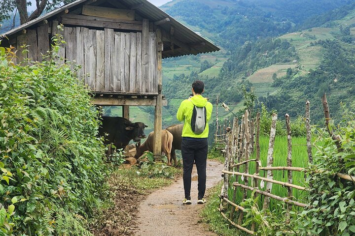 3 Days Trekking Mu Cang Chai Hidden Trails