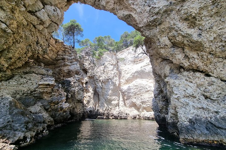 Shared boat tour in Vieste with bathing stop