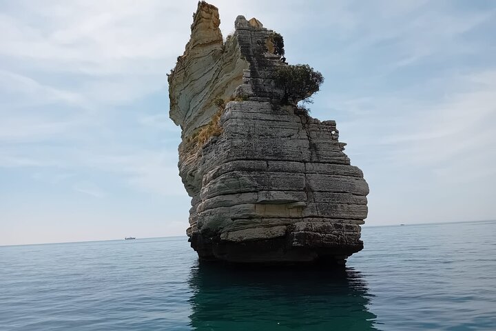 Shared boat tour in Vieste with bathing stop