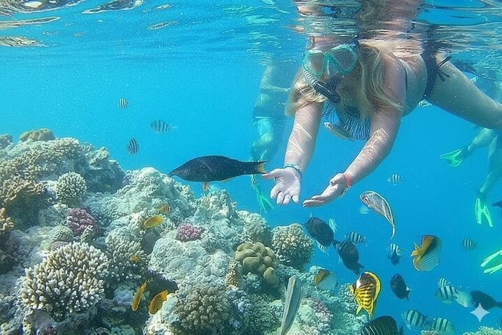 Sharm El Naga Full Day Snorkeling with Turtles & Lunch – Hurghada