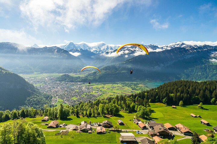 From Basel: Premium Panoramic train, Lucerne & Interlaken Tour