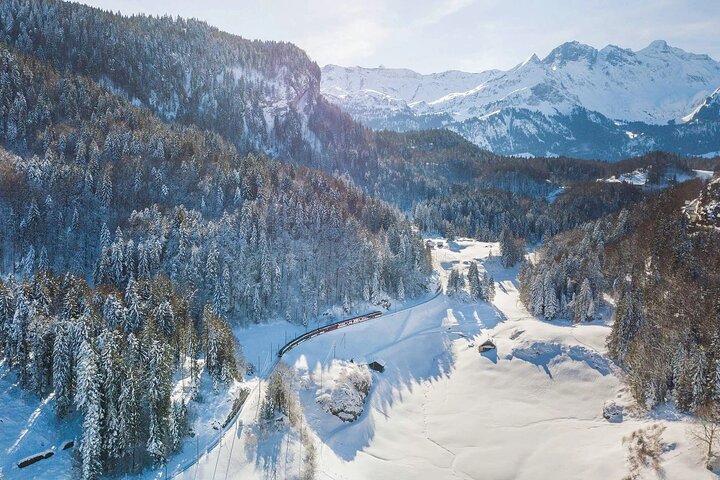 From Basel: Premium Panoramic train, Lucerne & Interlaken Tour