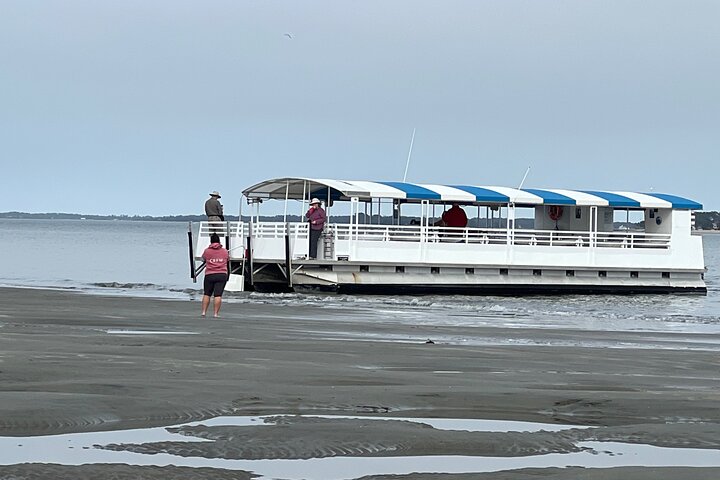 Hilton Head Dolphin Tour with Stop at Disappearing Island