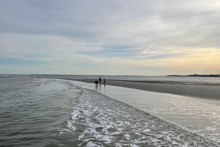 Hilton Head Dolphin Tour with Stop at Disappearing Island