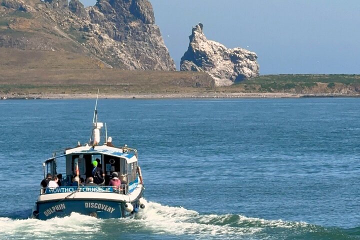 Ireland's Eye and Howth Coastal Boat Tour