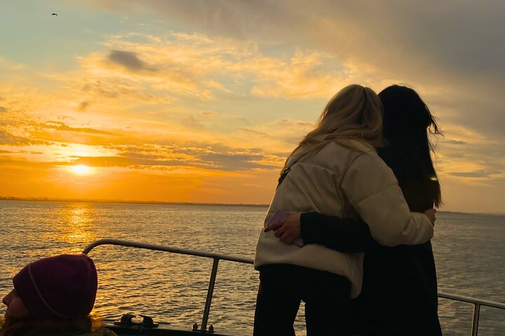 Ireland's Eye and Howth Coastal Boat Tour