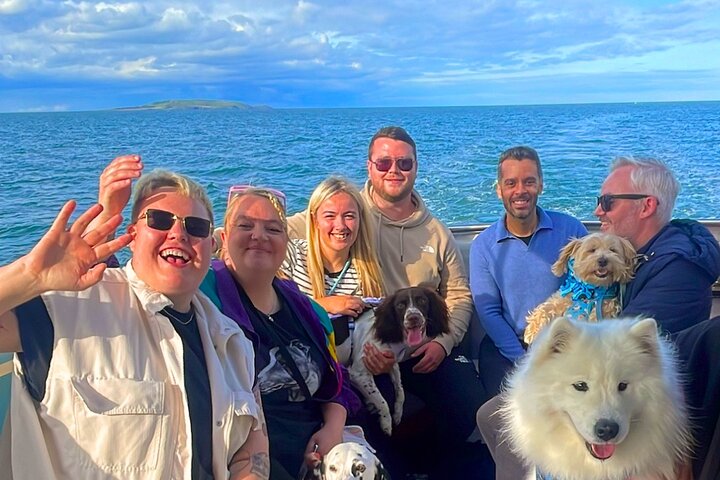 Ireland's Eye and Howth Coastal Boat Tour