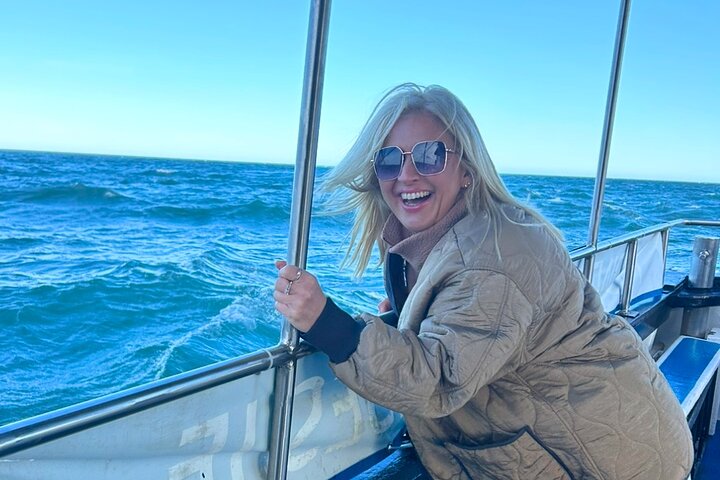 Ireland's Eye and Howth Coastal Boat Tour