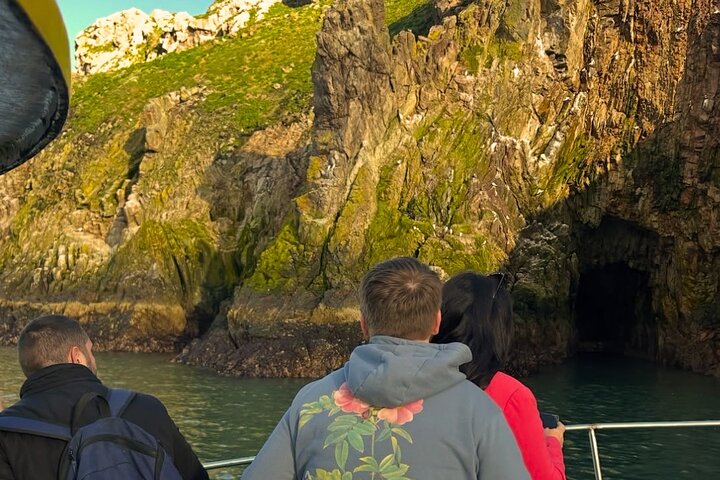 Ireland's Eye and Howth Coastal Boat Tour