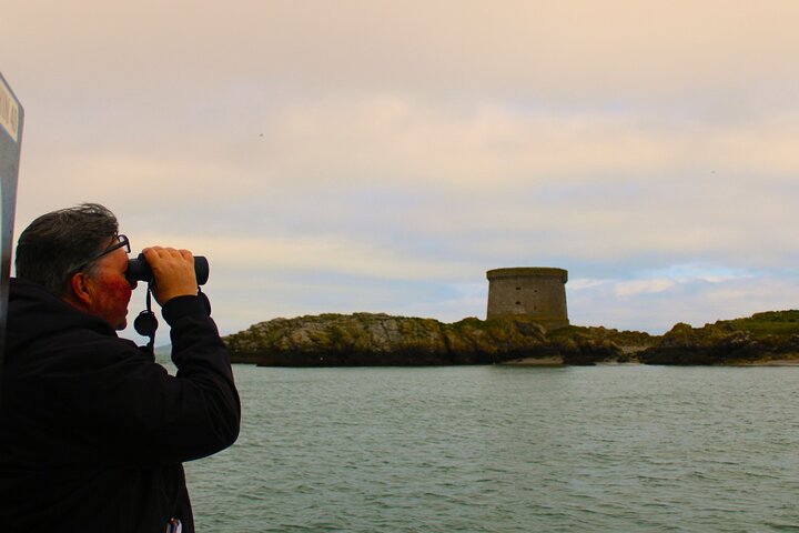 Ireland's Eye and Howth Coastal Boat Tour