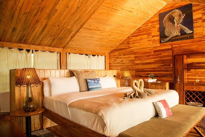 5-Day Private Northern Tanzania Safari from Arusha